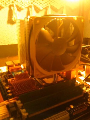 Noctua_montado.jpg