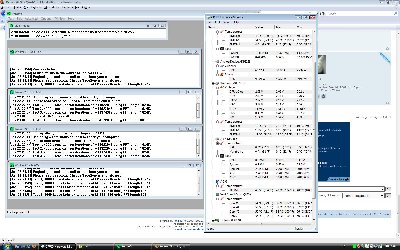 noctua_prime_17min.jpg