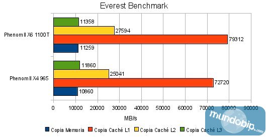 Everest AMD Phenom II X6 1100T