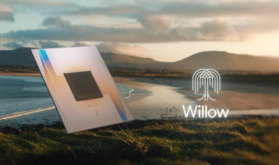 willow.jpg